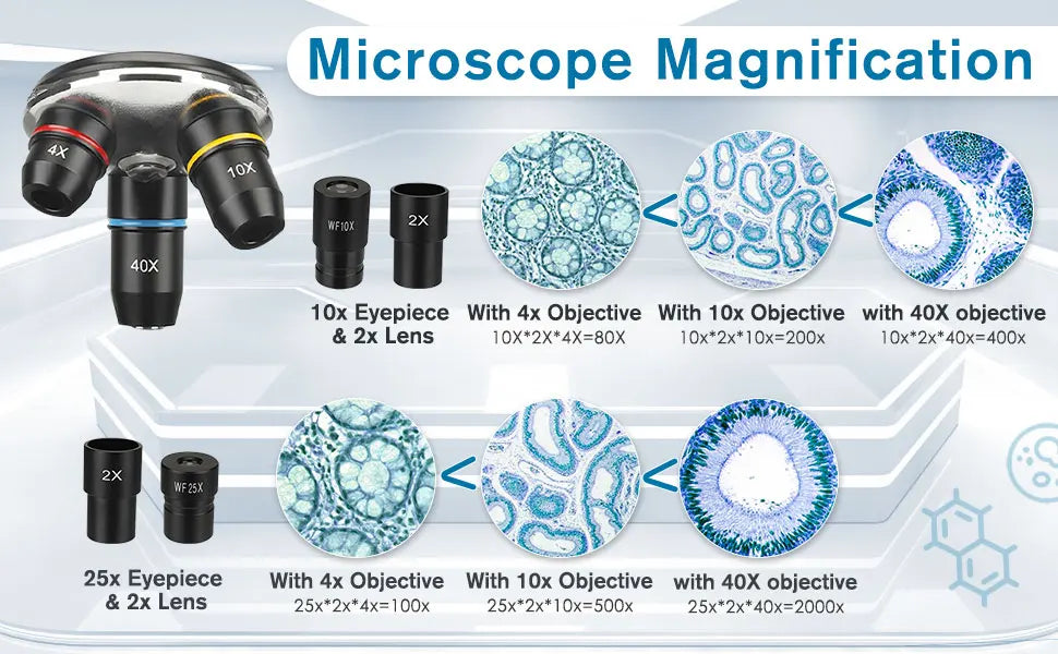 Microscope 40x-2000x Kit with Led Lights
